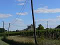 Vineyards near Saint-Émilion P1140184